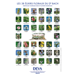 [DPOSTER-B] D-Poster des 38 élixirs floraux BACH